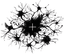ResearchPlus